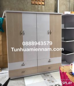 Tủ Nhựa MIền Nam