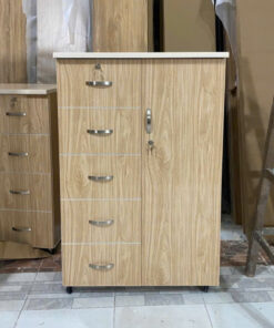 TỦ ÁO TRẺ EM NHỰA CHIN HUEI TNE06S11