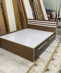 GIƯỜNG NHỰA CHIN HUEI GCH20