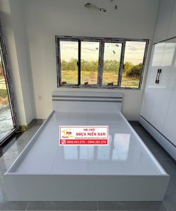 GIƯỜNG NHỰA CAO CẤP CHIN HUEI 2.0PLUS GN59PLUS