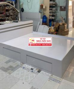 GIƯỜNG NHỰA CAO CẤP CHIN HUEI 2.0PLUS GN58PLUS