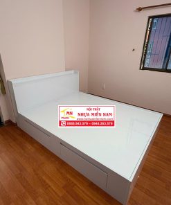 GIƯỜNG NHỰA CAO CẤP CHIN HUEI 2.0PLUS GN57PLUS