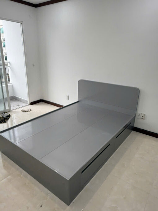 GIƯỜNG NHỰA CAO CẤP CHIN HUEI 2.0PLUS GN62PLUS