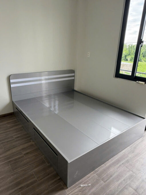 GIƯỜNG NHỰA CAO CẤP CHIN HUEI 2.0PLUS GN63PLUS
