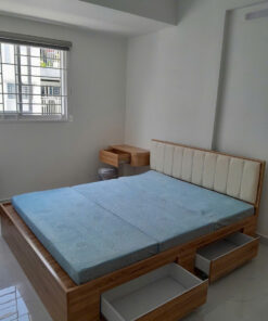 Alternative view of GIƯỜNG NHỰA CAO CẤP CHIN HUEI 2.0PLUS GN64PLUS