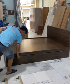 GIƯỜNG NHỰA CAO CẤP CHIN HUEI 2.0PLUS GN67PLUS