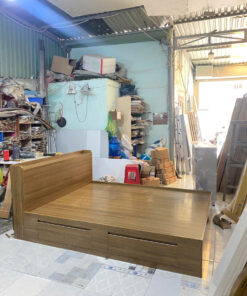 GIƯỜNG NHỰA CỨNG ECOPLAST GEC101