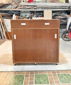 TỦ GIÀY NHỰA ECOPLAST CAO CẤP TGEC81