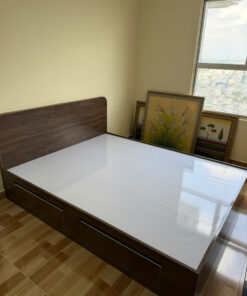 GIƯỜNG NHỰA CAO CẤP CHIN HUEI 2.0 PLUS - GN70PLUS