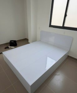 GIƯỜNG NHỰA CAO CẤP CHIN HUEI 2.0 PLUS - GN74PLUS