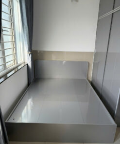 GIƯỜNG NHỰA CAO CẤP CHIN HUEI 2.0 PLUS - GN73PLUS