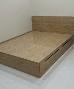 GIƯỜNG NHỰA CAO CẤP CHIN HUEI 2.0 PLUS - GN75PLUS