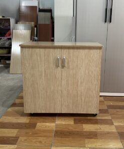 TỦ GIÀY NHỰA ĐÀI LOAN TGN157