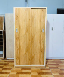 TỦ QUẦN ÁO CÁNH LÙA NHỰA ECOPLAST CAO CẤP CLE99