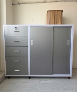 TỦ ÁO CÁNH LÙA NHỰA CHIN HUEI TCL383